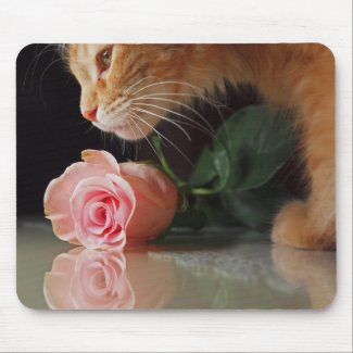 Valentine-Cat mousepad