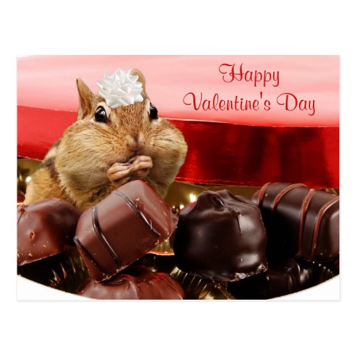 Valentine Chipmunk Postcard | Zazzle