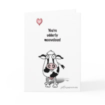Valentine cow card