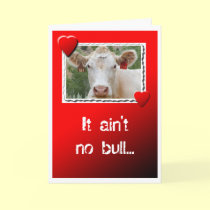 Valentine Cow cards