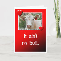 Valentine Cow card