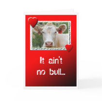 Valentine Cow Card