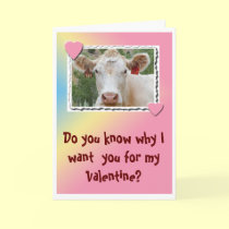 Valentine Cow-Greeting Card cards