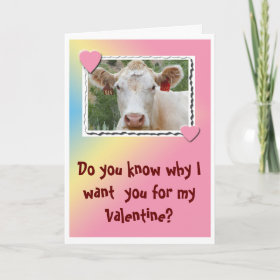 Valentine Cow-Greeting Card card