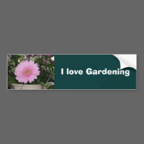 Valentine flowers bumper stickers