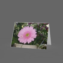 Valentine Flowers cards
