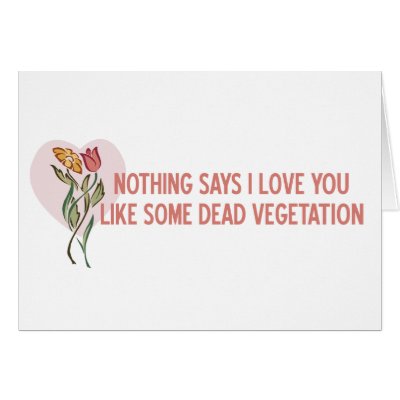 Nothing Says I Love You... - Funny Anti-Valentine's Day Card