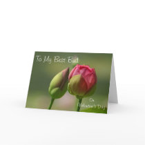 Valentine Greetings for Friends cards