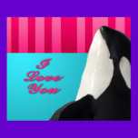 Valentine I love you orca whale Poster posters
