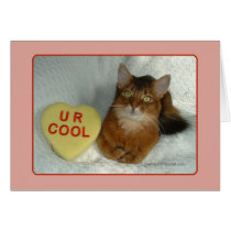 Valentine Kitty U R Cool Card cards