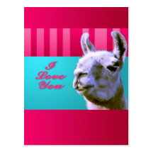 Valentine llama I love you be mine pink red, turqu Post Cards