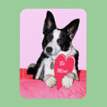 Valentine Magnet - "Magpie" premium magnets