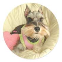 Valentine Miniature Schnauzer stickers by AngelaMini Valentine Miniature Schnauzer stickers