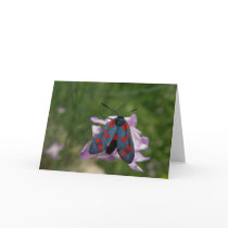 Valentine moth cards