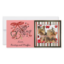 Valentine Photo Cards for your pets!