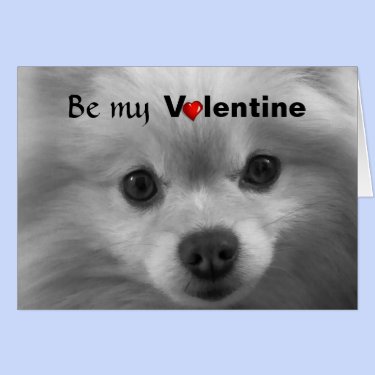 Valentine Pomeranian with Big Cute Eyes Greeting Card