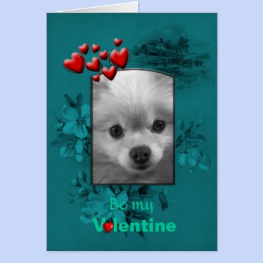 Valentine Pomeranian with Big Cute Eyes Card