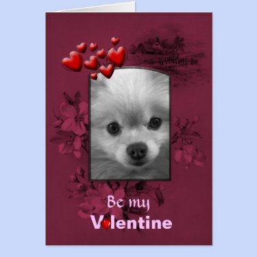 Valentine Pomeranian with Big Cute Eyes Greeting Card