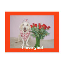 Valentine Postcard