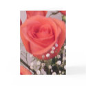 Valentine Rose cards by JLWinther Valentine Rose cards