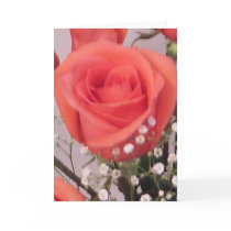 Valentine Rose cards by JLWinther Valentine Rose cards