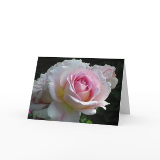 Valentine Rose card