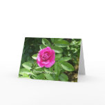 Valentine Rose for Someone Special Cards Valentine Rose for Someone Special Cards