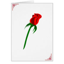 Valentine - rose on white cards