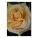 Valentine Rose-with poetry card