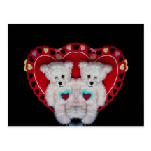 valentine teddy Photo 10120 Post Card