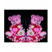valentine teddysPhoto 10276 t-shirts