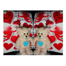 valentine teddysPhoto 10309 Postcards