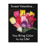 Valentine Tulips Postcard