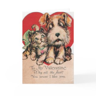 Valentine Why All The Fuss? card
