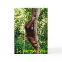 Valentine Wildlife cards