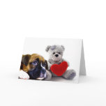 Valentine's boxer puppy and teddy bear greeting cards