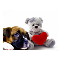 Valentine's boxer puppy poster posters