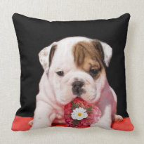 Valentine's bulldog American Mojo Throw Pillow