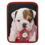 Valentine's bulldog puppy iPad sleeves