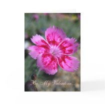 Valentine's Card, Dianthus Flower