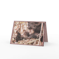 Valentine's Day 2012 Wildlife Research Institute Greeting Card