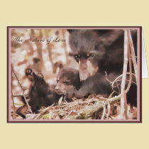 Valentine's Day 2012 Wildlife Research Institute cards