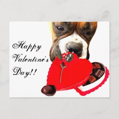 Valentine's Day Boxer with Chocolates greeting card