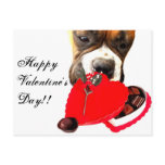Valentine's Day Boxer dog greeting card Post Cards