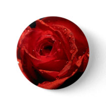 Emblema do botão do dia de Valentim botons