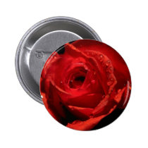Valentine's Day button badge buttons