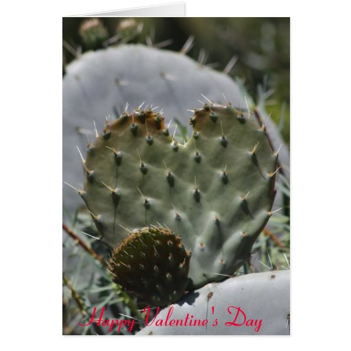 valentines day cactus puns