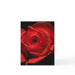 Carte de Saint-Valentin cartes