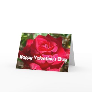 Valentine's Day Card (9) - Personalize/Customize card