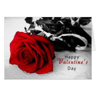 Valentine's Day Card - Black & White Rose